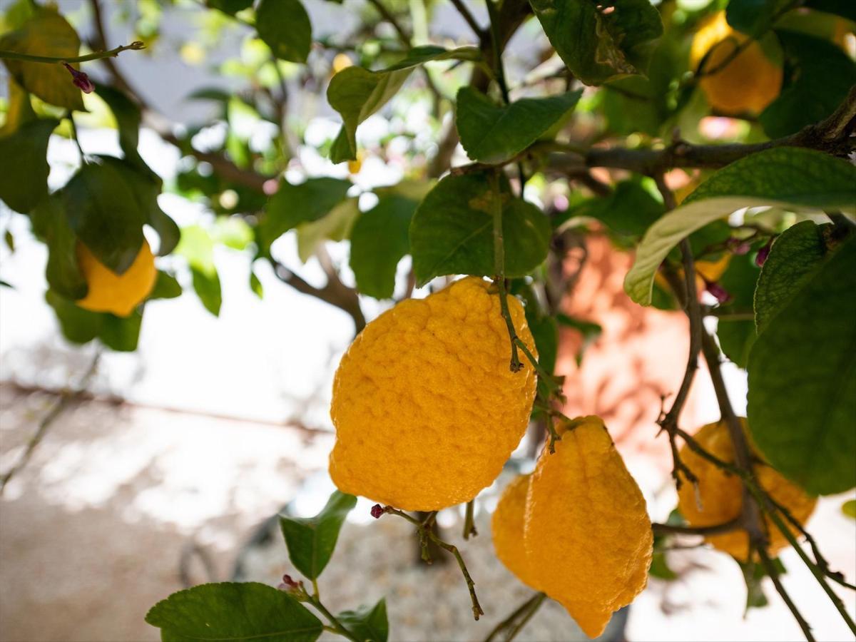 دوماس دي ماريا B&B Giglio Di Chia المظهر الخارجي الصورة